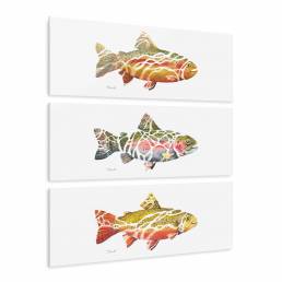 Three trout paintings on white wall