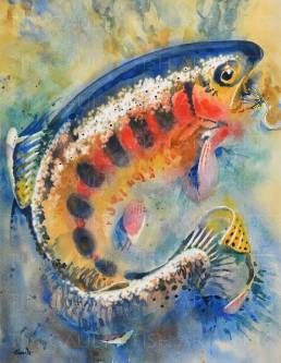 Watercolor painting of a golden trout