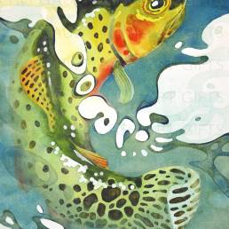 Watercolor painting of a greenback cutthroat trout